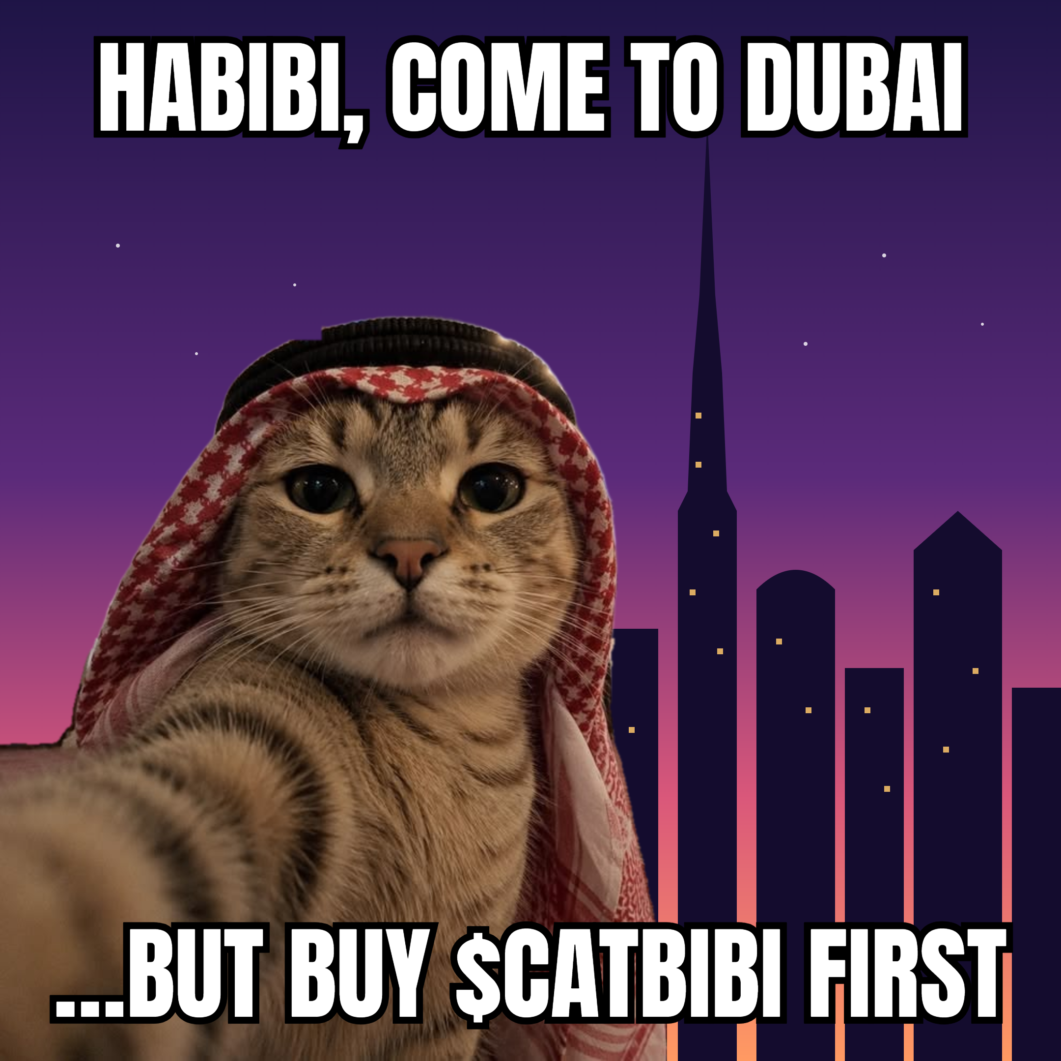 CATBIBI meme: Come to Dubai